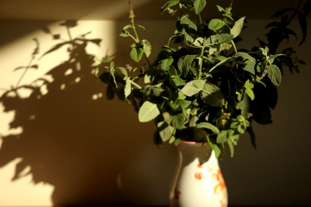 Apartmán Kerpji Ulmale Exteriér fotografie